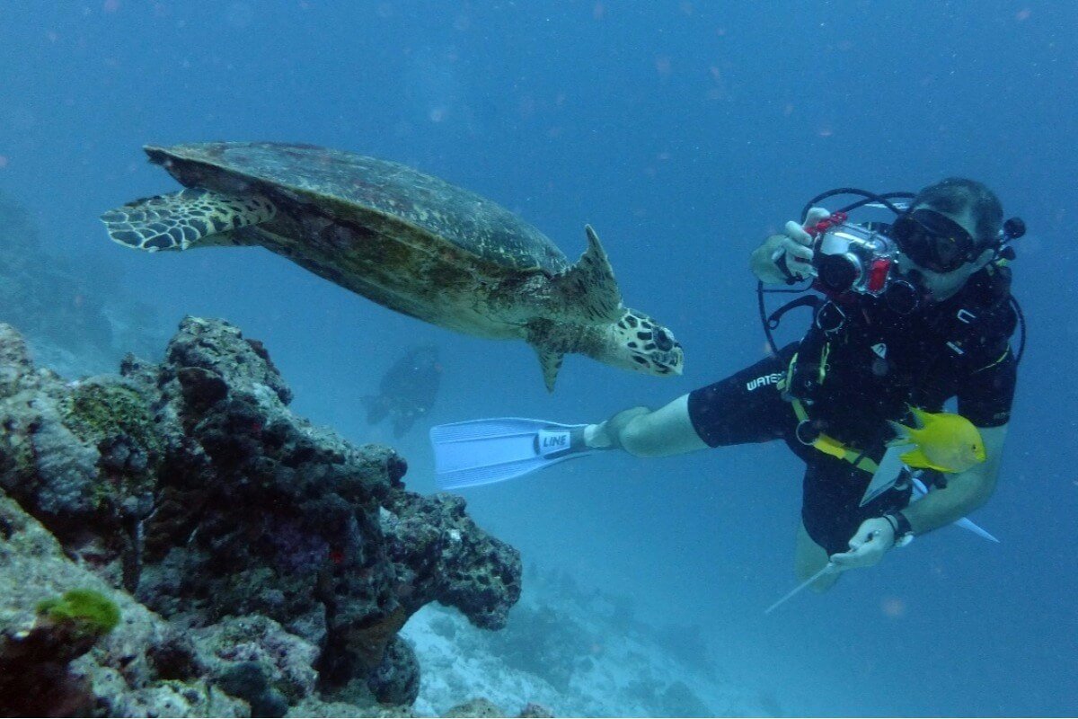 PADI Open Water Diver